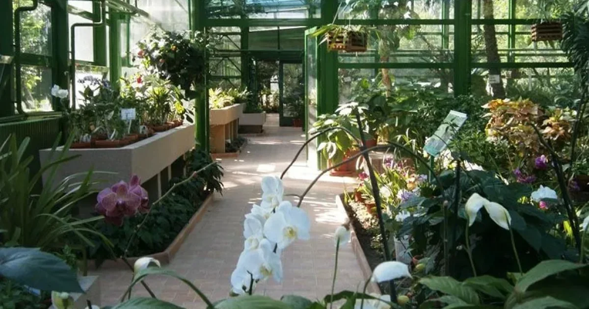 Gradina Botanica din Bucuresti