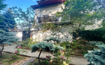 Vanzare vila singur curte Palatul Cotroceni ideala birouri