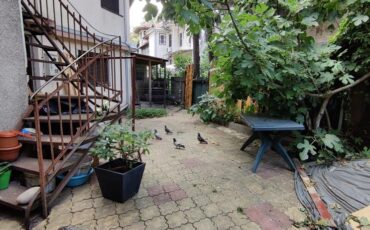 Inchiriere casa P+1 pet friendly curte comuna Cotroceni Medicina