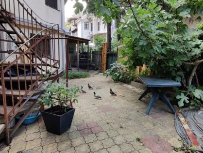 Inchiriere casa P+1 pet friendly curte comuna Cotroceni Medicina
