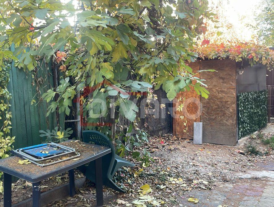 WhatsApp Image 2025-11-03 at 13.42.39