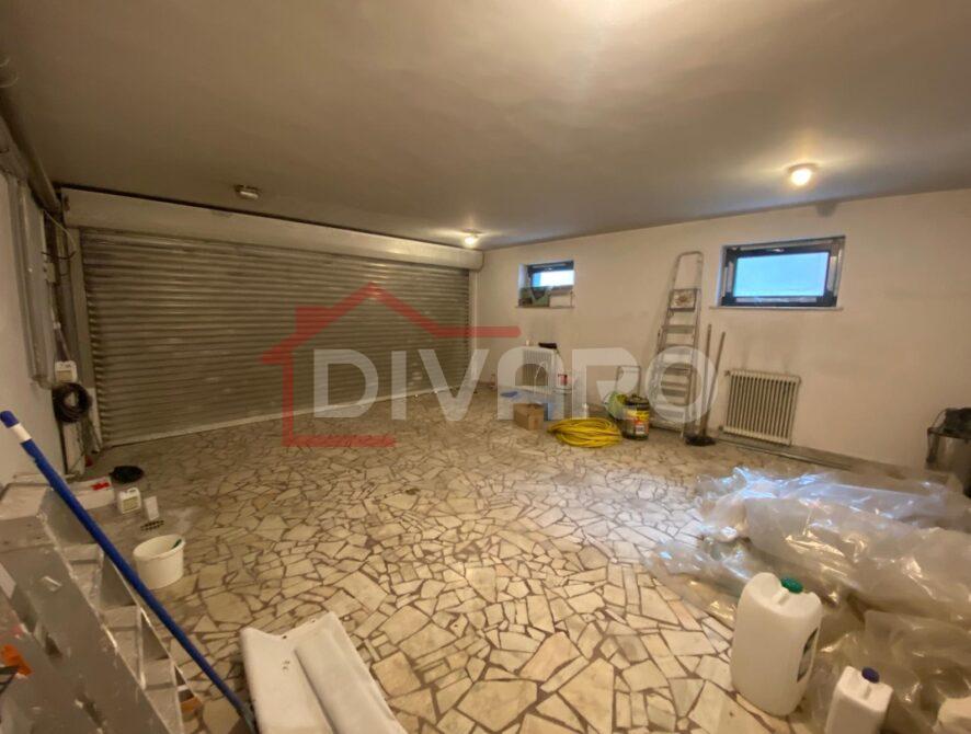 WhatsApp Image 2024-11-22 at 2.11.29 PM