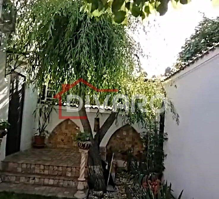 WhatsApp Image 2024-11-25 at 11.19.16 PM (3)