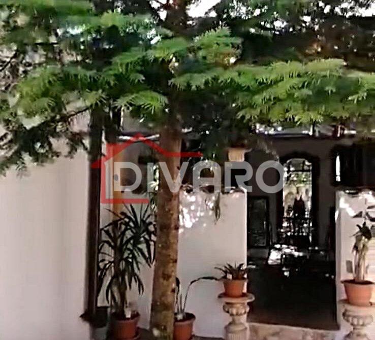 WhatsApp Image 2024-11-29 at 2.19.00 PM (2)