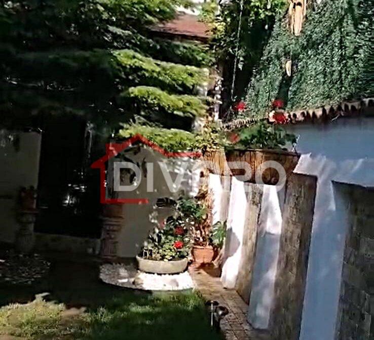 WhatsApp Image 2024-11-29 at 2.19.00 PM (3)