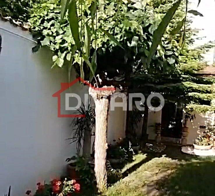 WhatsApp Image 2024-11-29 at 2.19.00 PM (4)