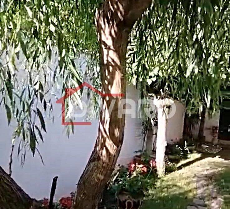 WhatsApp Image 2024-11-29 at 2.19.00 PM (5)