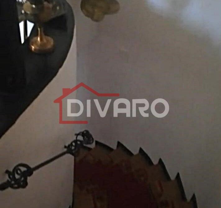 WhatsApp Image 2024-11-29 at 2.19.00 PM