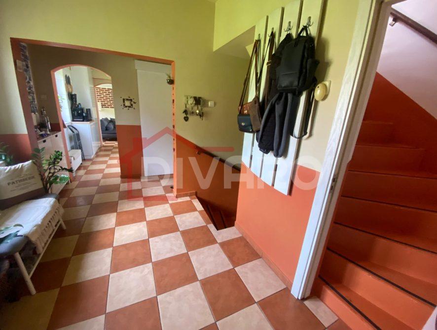 WhatsApp Image 2025-07-04 at 12.19.57 PM (6)