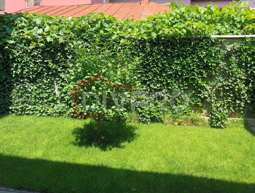 WhatsApp Image 2025-11-17 at 16.54.45