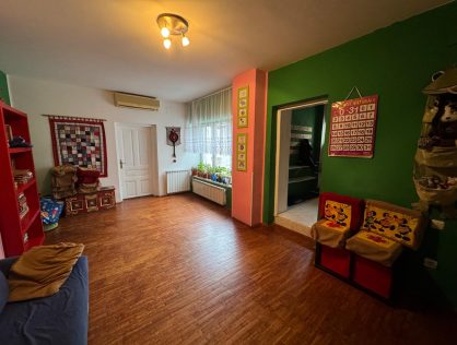 Inchiriere duplex intrare separata vila Parc Romniceanu Cotroceni metrou