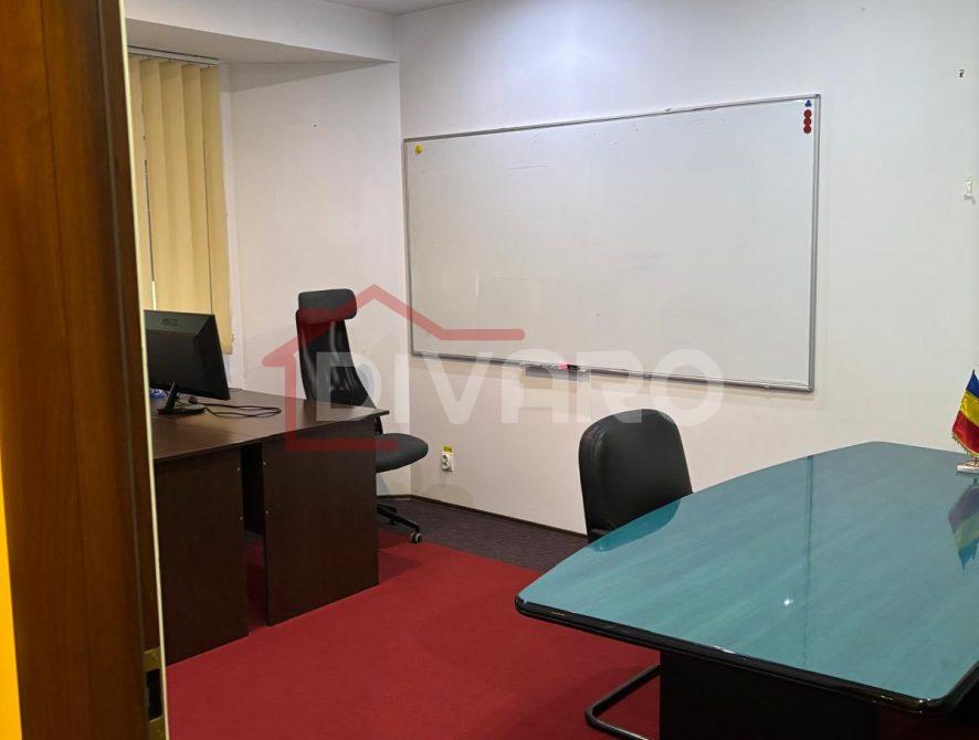 WhatsApp Image 2026-02-05 at 10.29.29 (4)