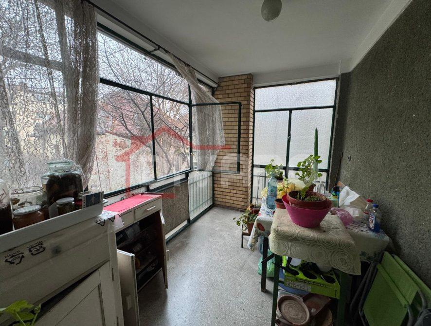 WhatsApp Image 2026-02-13 at 10.19.56