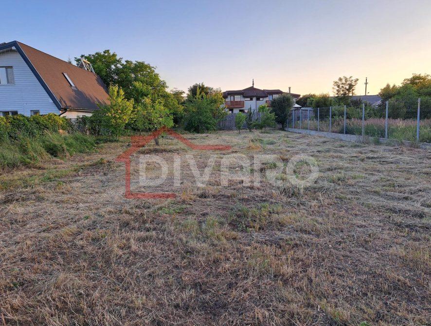 WhatsApp Image 2026-03-03 at 11.59.00 (1)