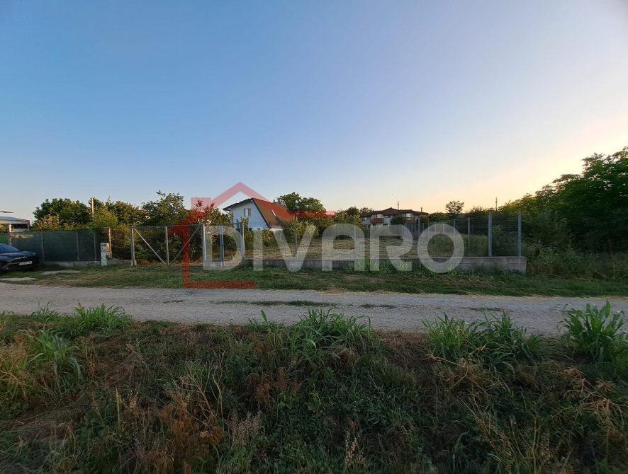 WhatsApp Image 2026-03-03 at 11.59.00 (2)