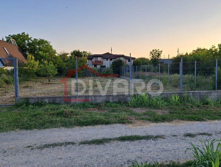 WhatsApp Image 2026-03-03 at 11.59.00 (3)