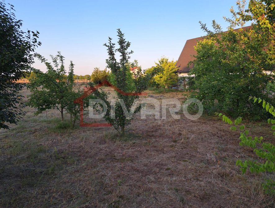 WhatsApp Image 2026-03-03 at 11.59.00 (5)