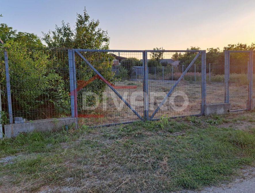 WhatsApp Image 2026-03-03 at 11.59.00