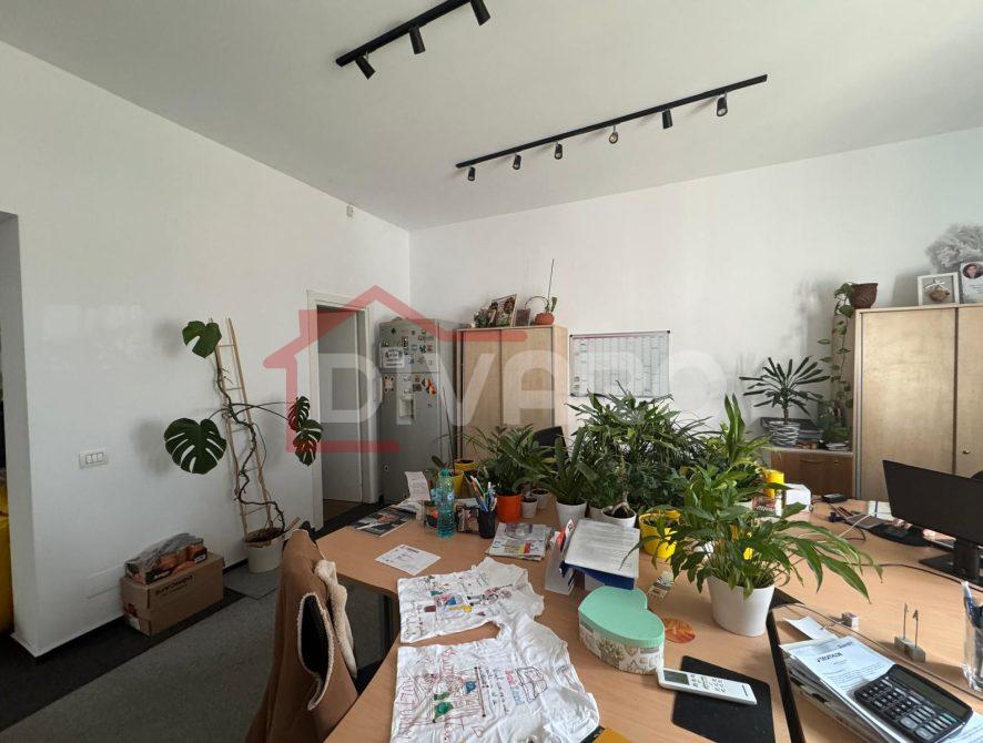 WhatsApp Image 2026-03-06 at 13.39.30 (3)