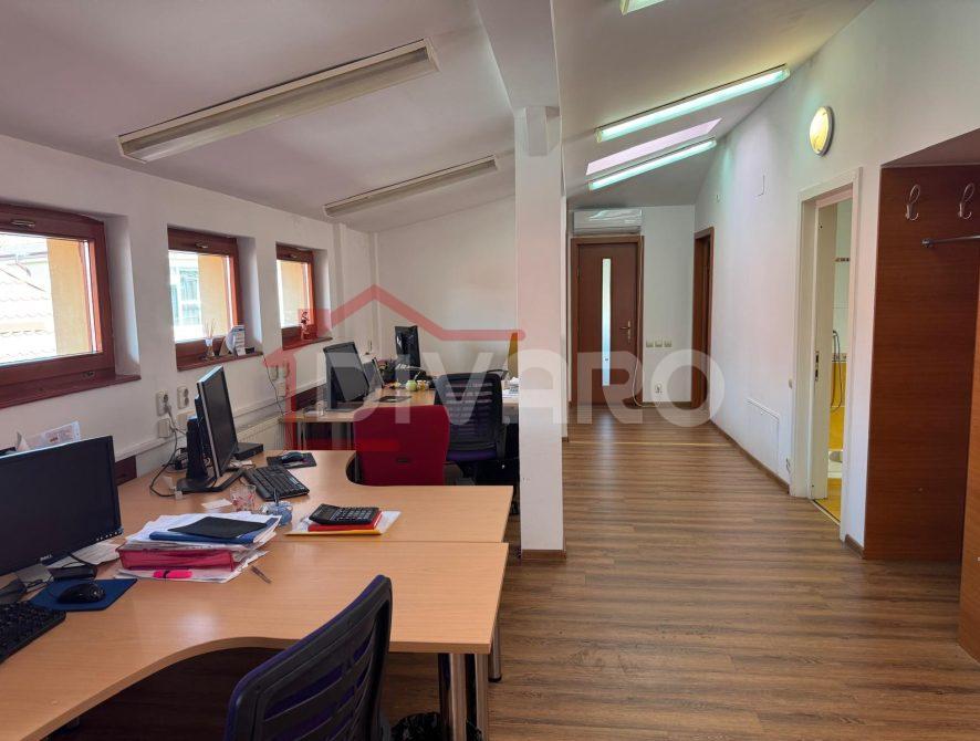 WhatsApp Image 2026-03-06 at 13.39.32 (11)