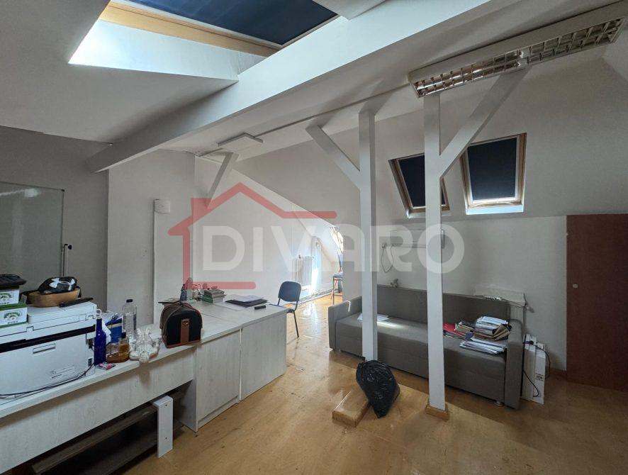 WhatsApp Image 2026-04-01 at 13.34.58 (3)